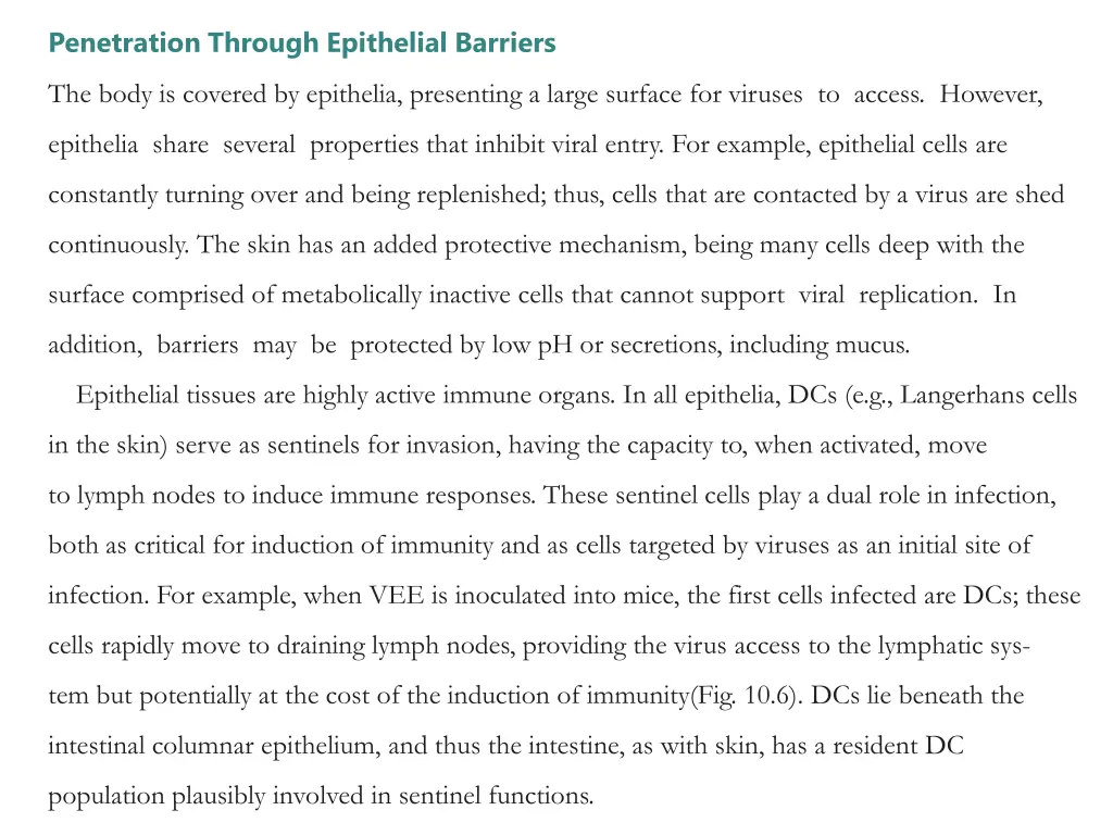 penetration through epithelial barriers