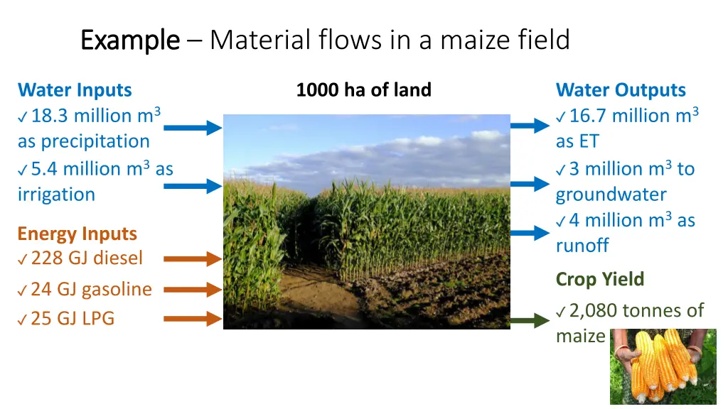 example example material flows in a maize field 1