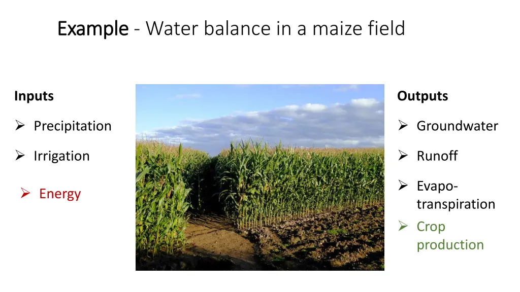 example example water balance in a maize field