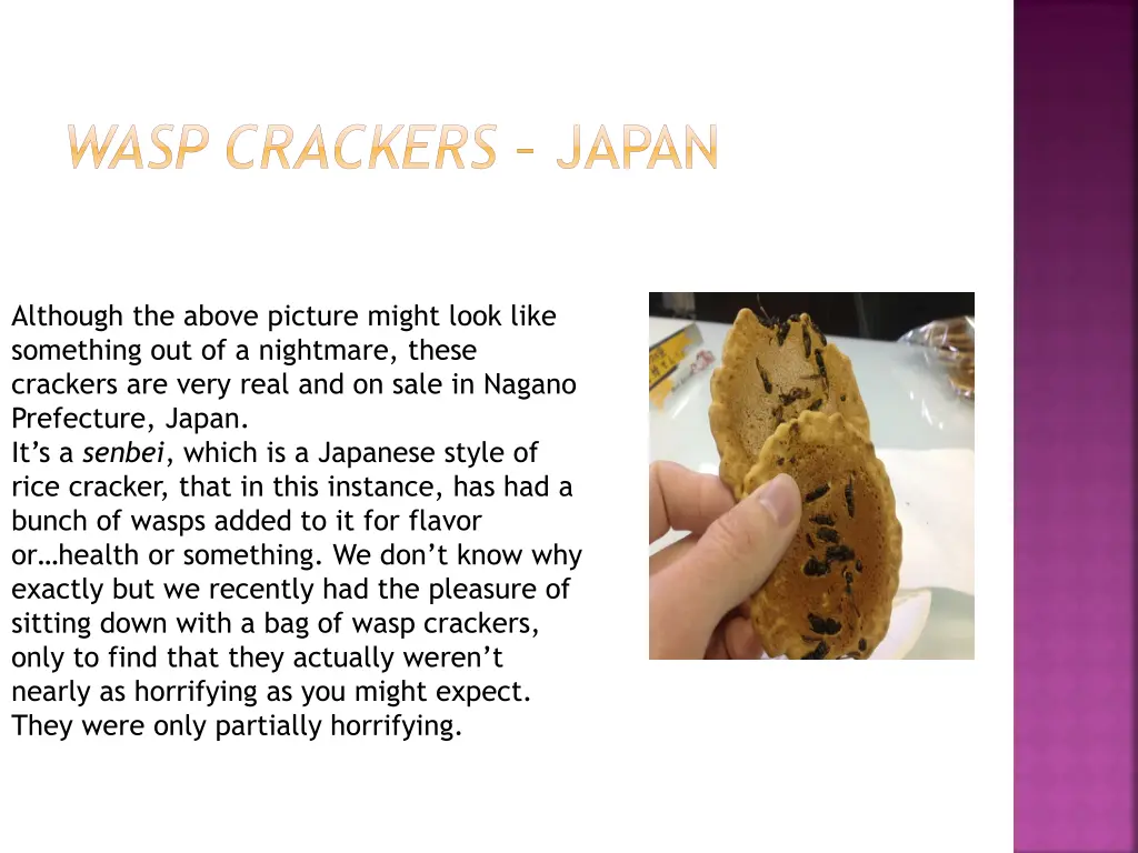 wasp crackers japan