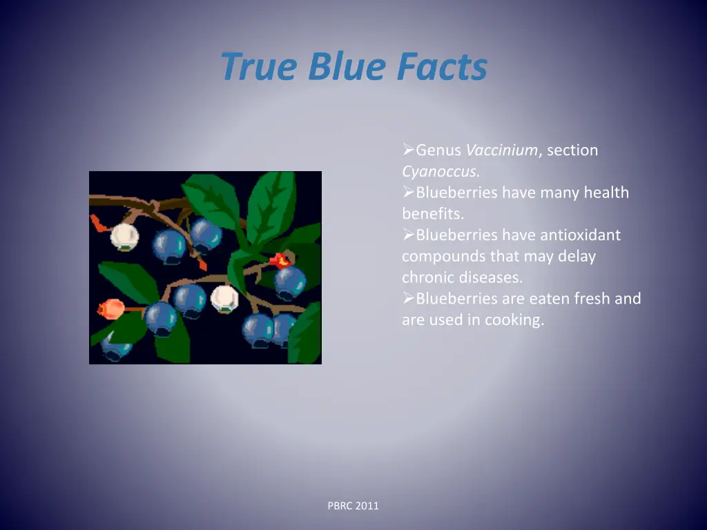 true blue facts