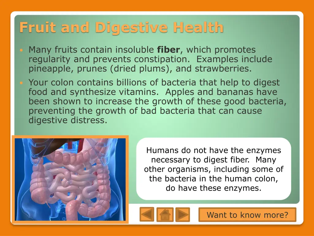 fruit and digestive health