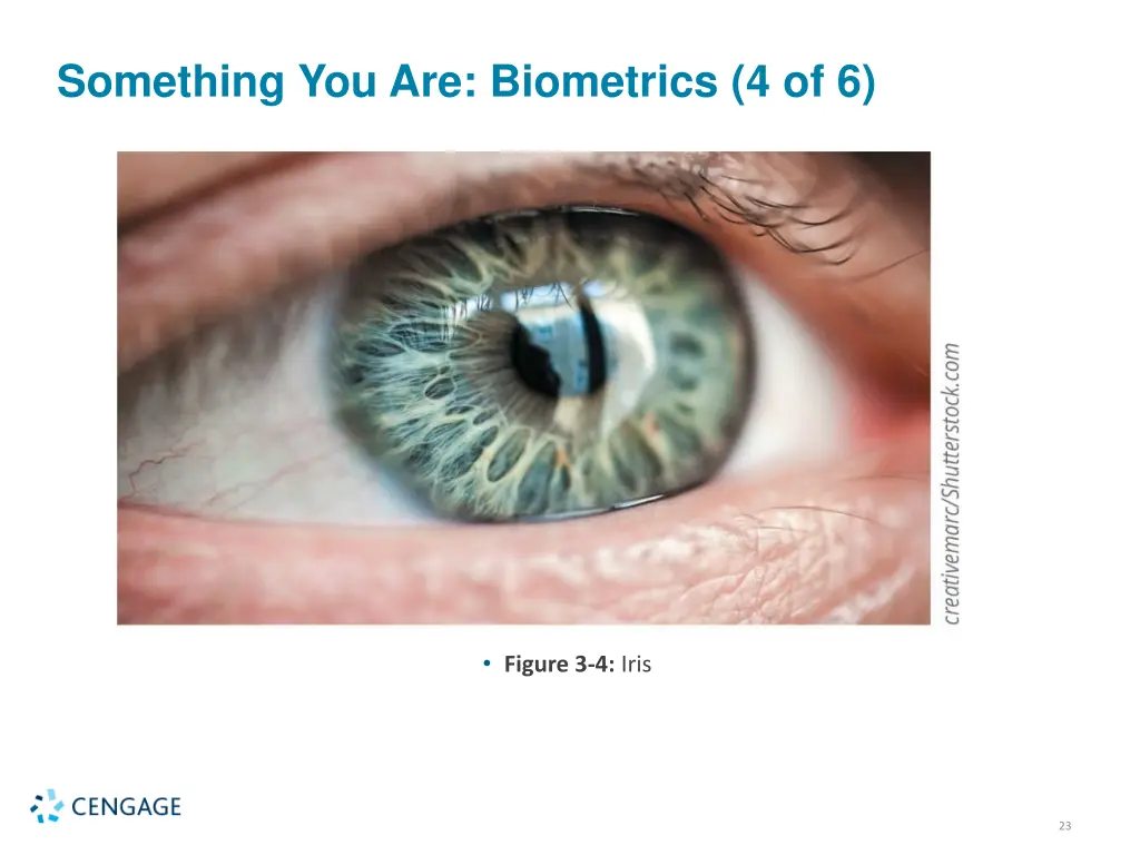 something you are biometrics 4 of 6