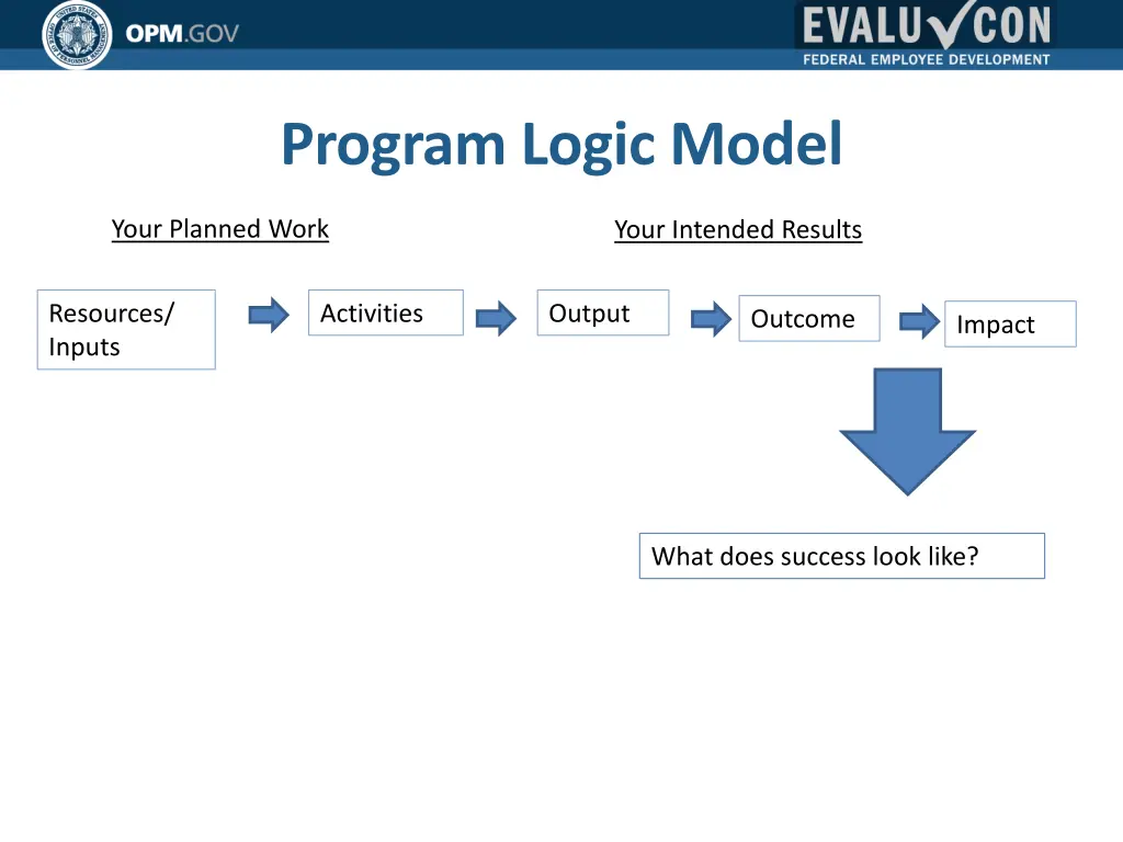 program logic model