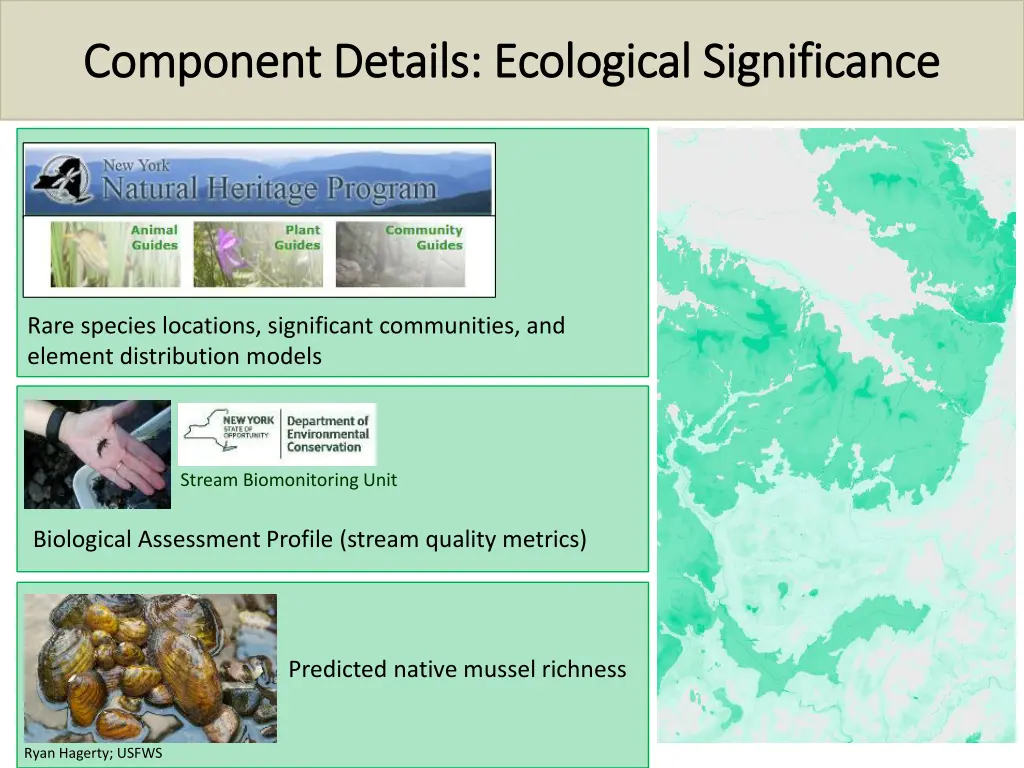 component details ecological significance