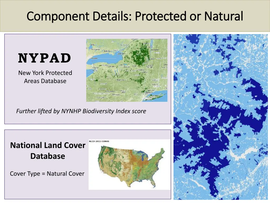 component details protected or natural component