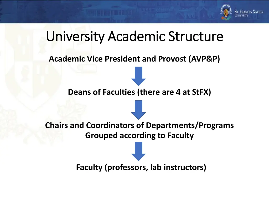 university academic structure university academic