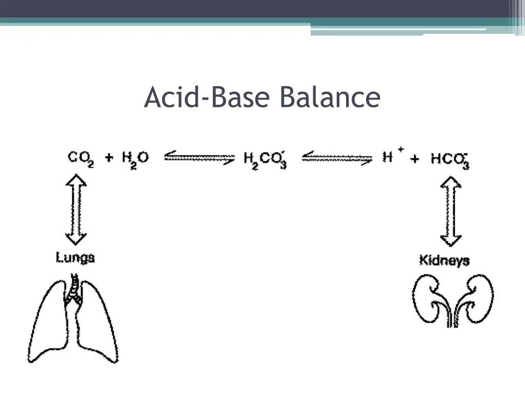 acid base balance