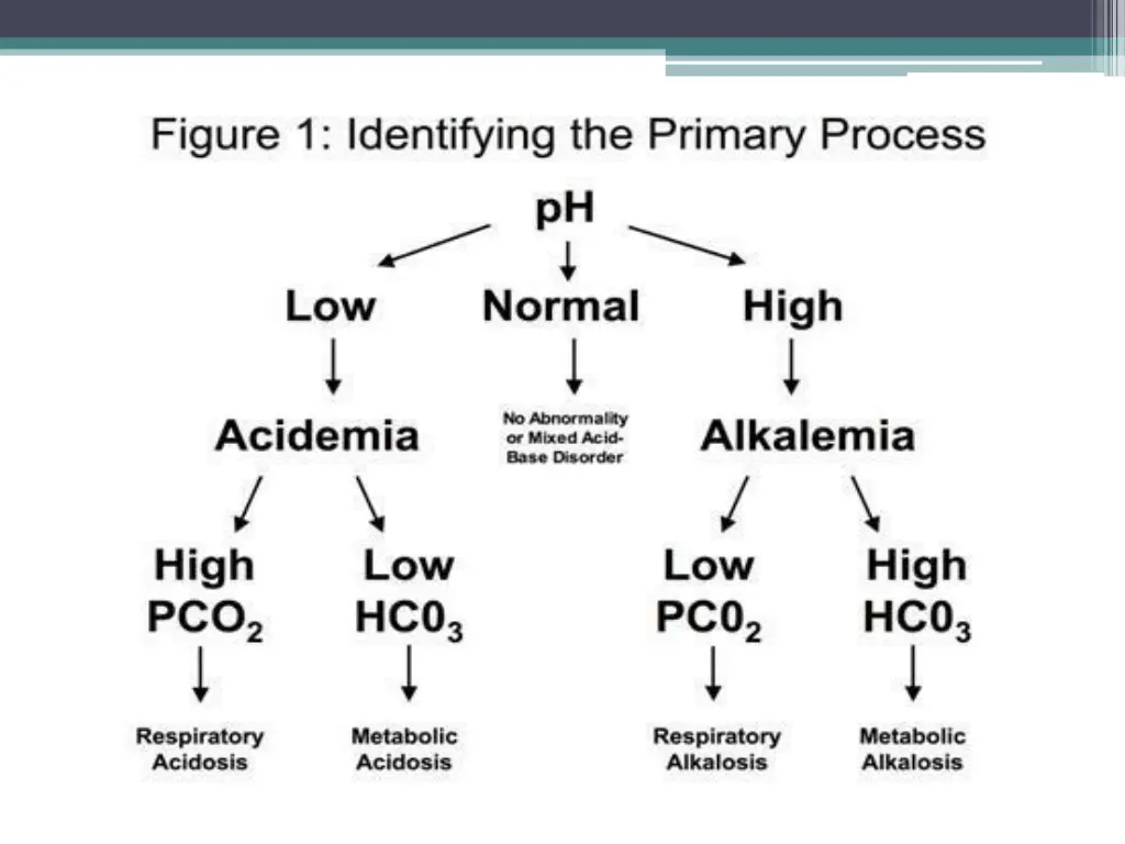 slide15