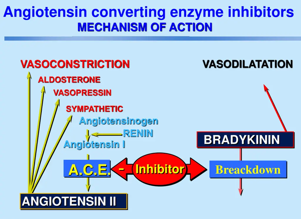 angiotensin converting enzyme inhibitors