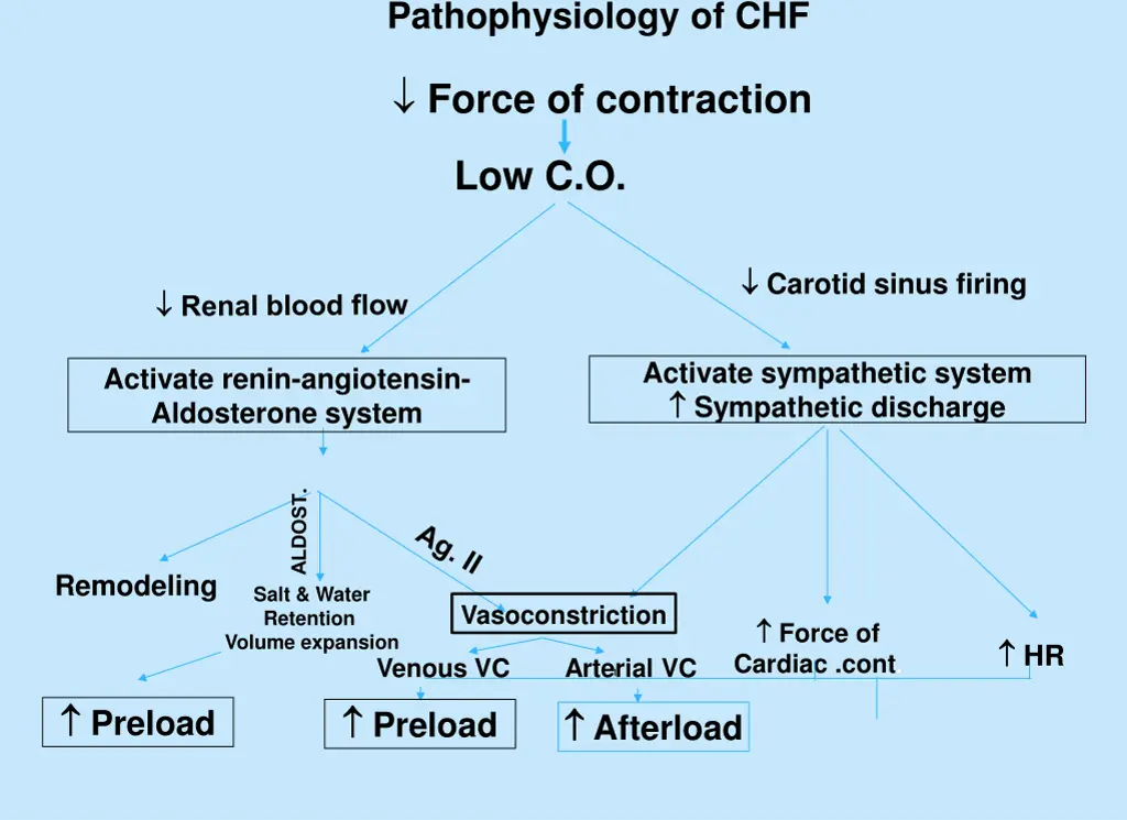 pathophysiology of chf