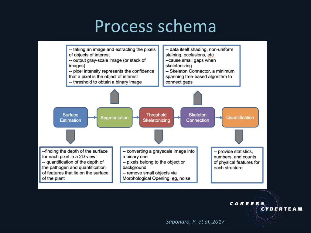 process schema