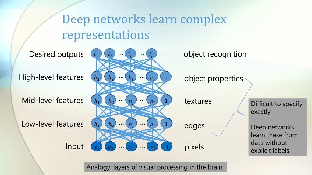 deep networks learn complex representations