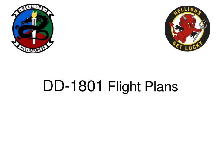 dd 1801 flight plans