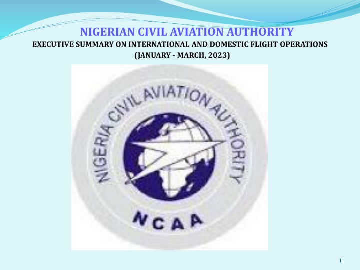 nigerian civil aviation authority executive