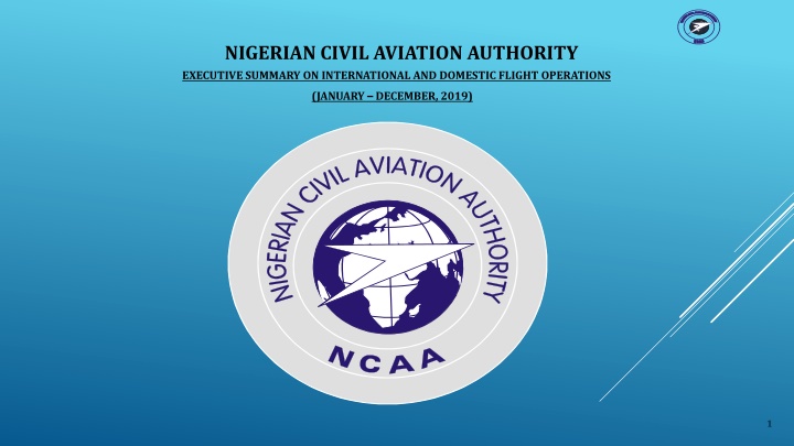 nigerian civil aviation authority executive