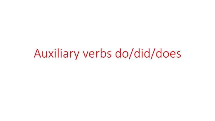 auxiliary verbs do did does