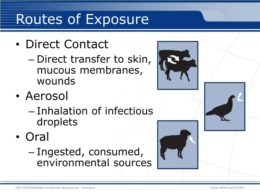 routes of exposure