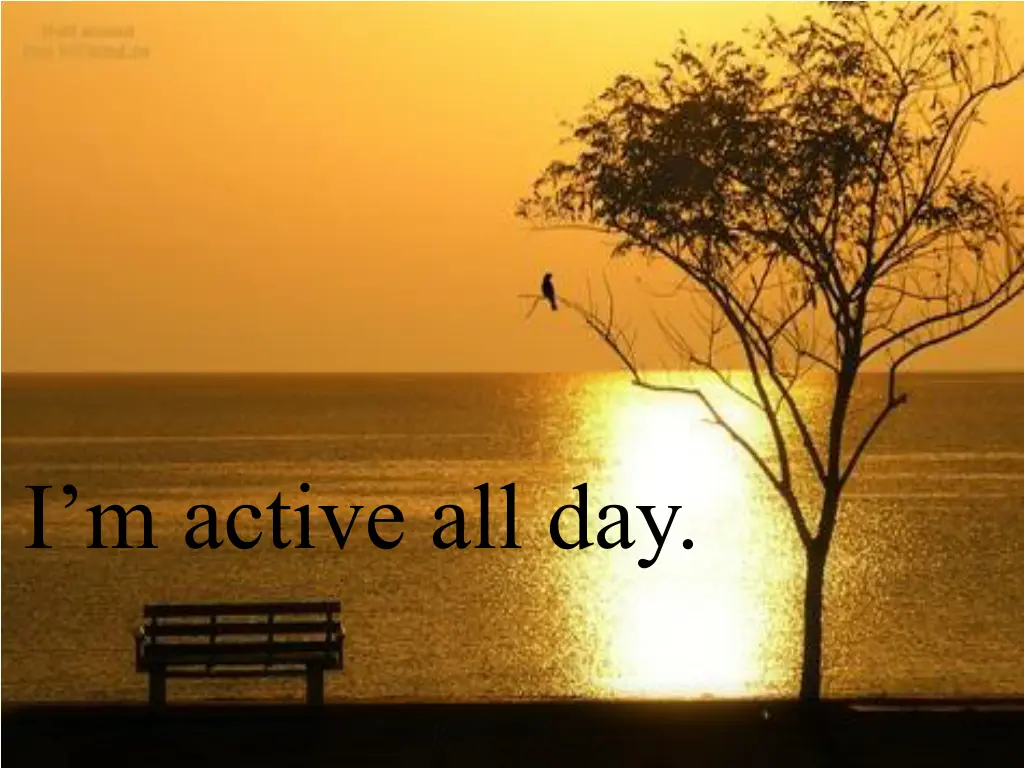 i m active all day