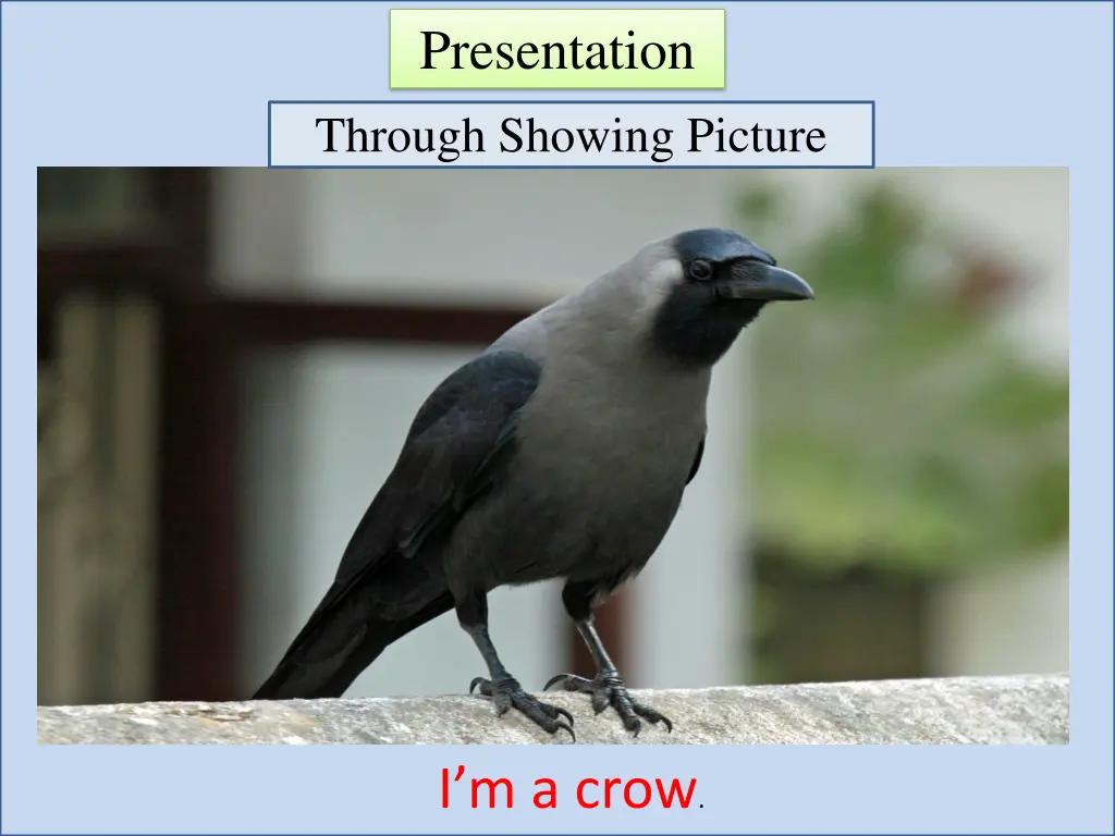 presentation