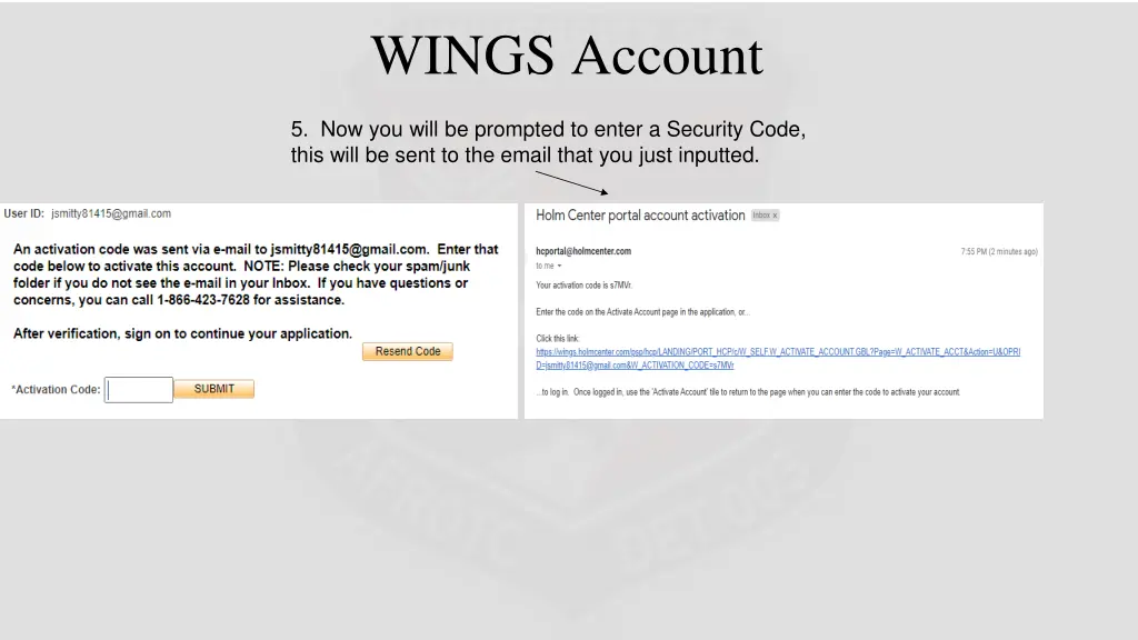 wings account 3