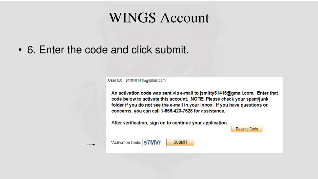 wings account 4