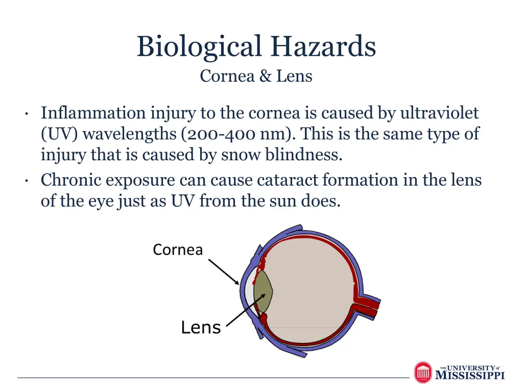 biological hazards cornea lens