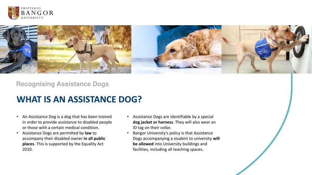 recognising assistance dogs 1