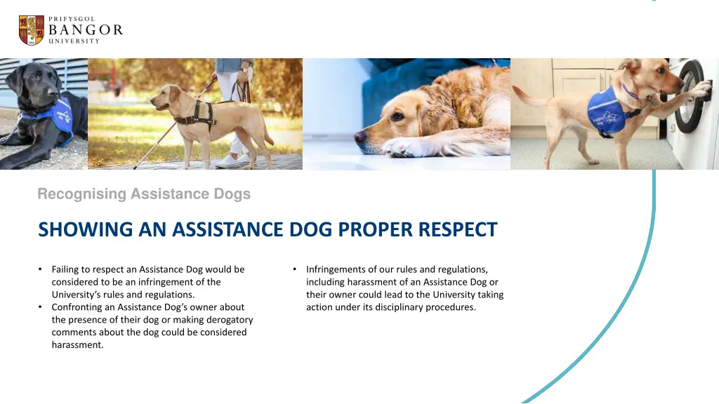 recognising assistance dogs 3