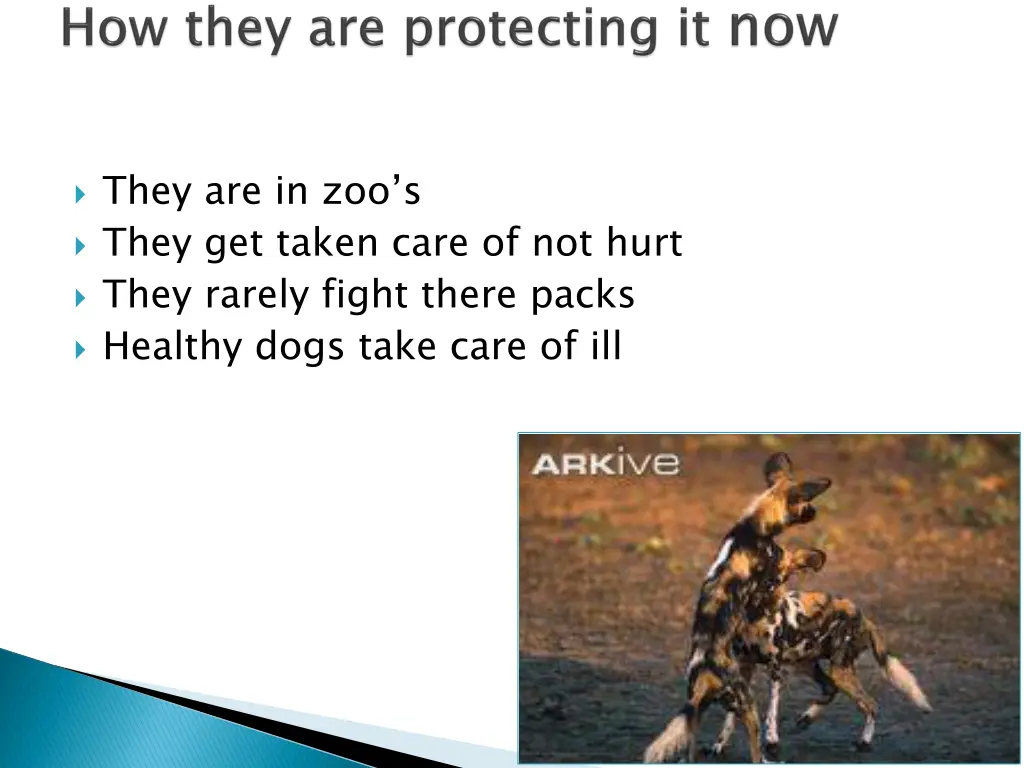 they are in zoo s they get taken care of not hurt