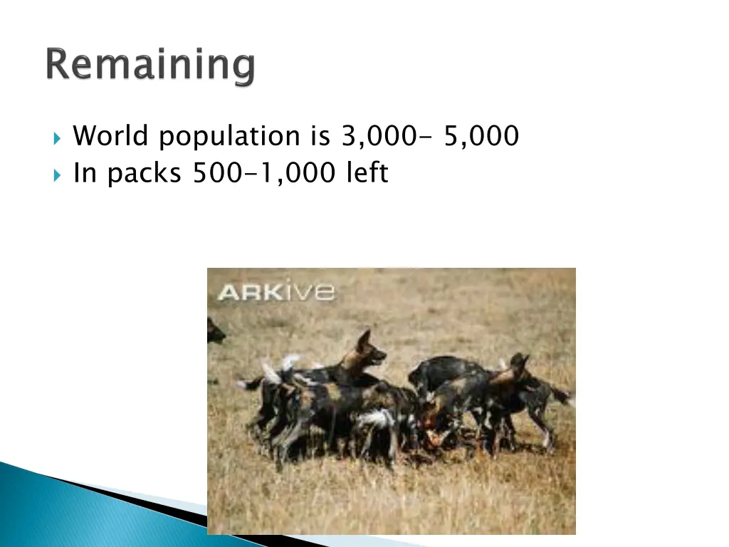 world population is 3 000 5 000 in packs