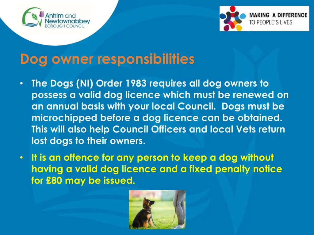 dog owner responsibilities