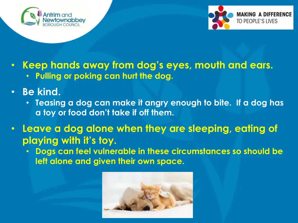 keep hands away from dog s eyes mouth and ears