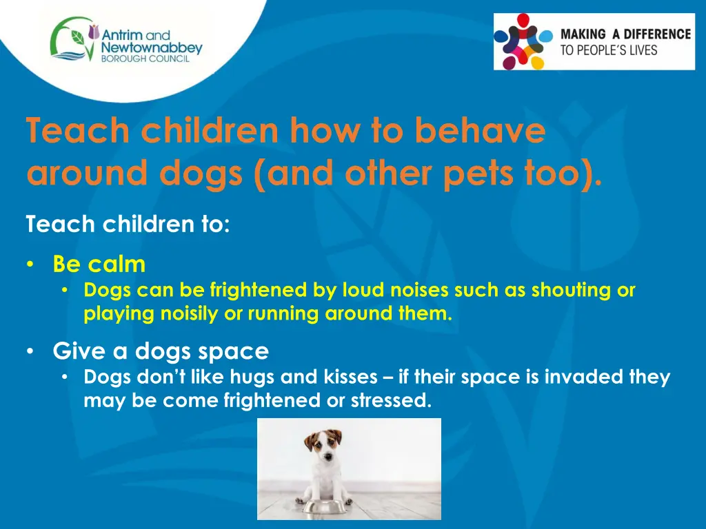 teach children how to behave around dogs