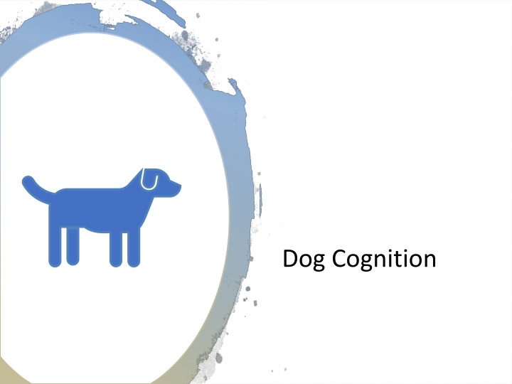 dog cognition