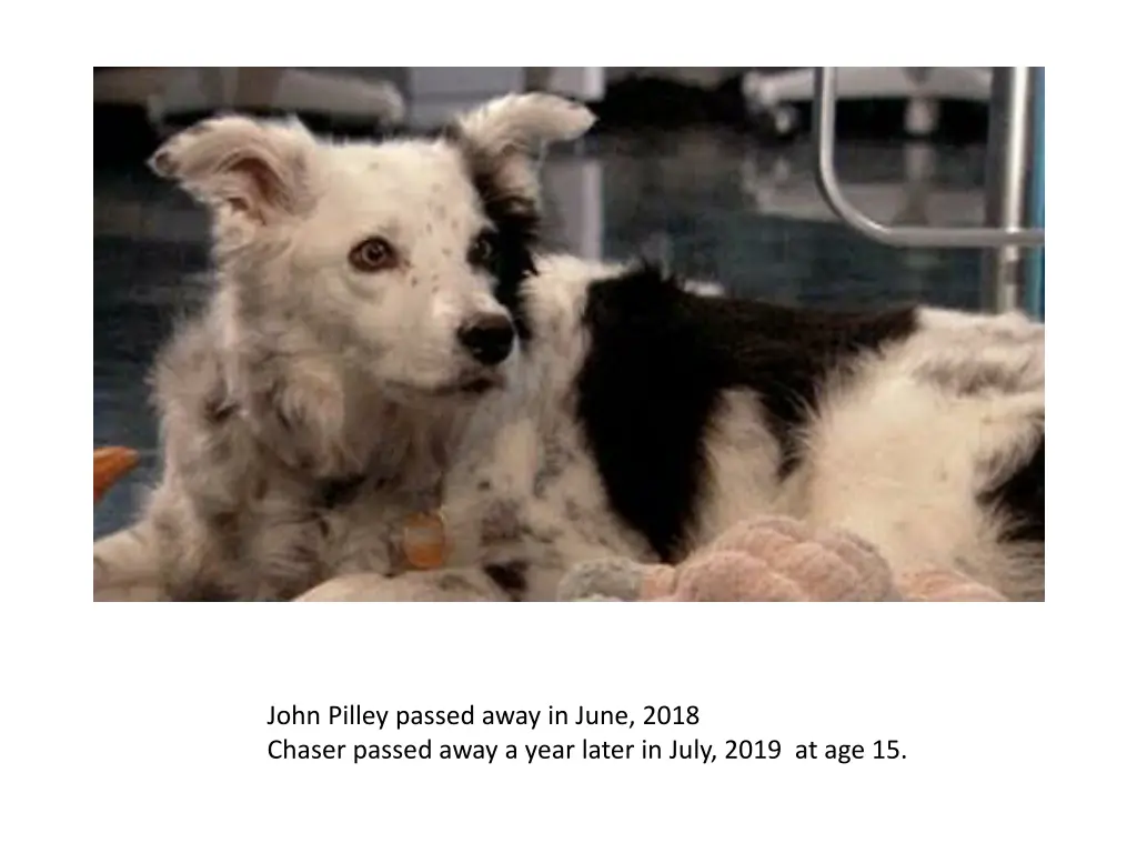 john pilley passed away in june 2018 chaser