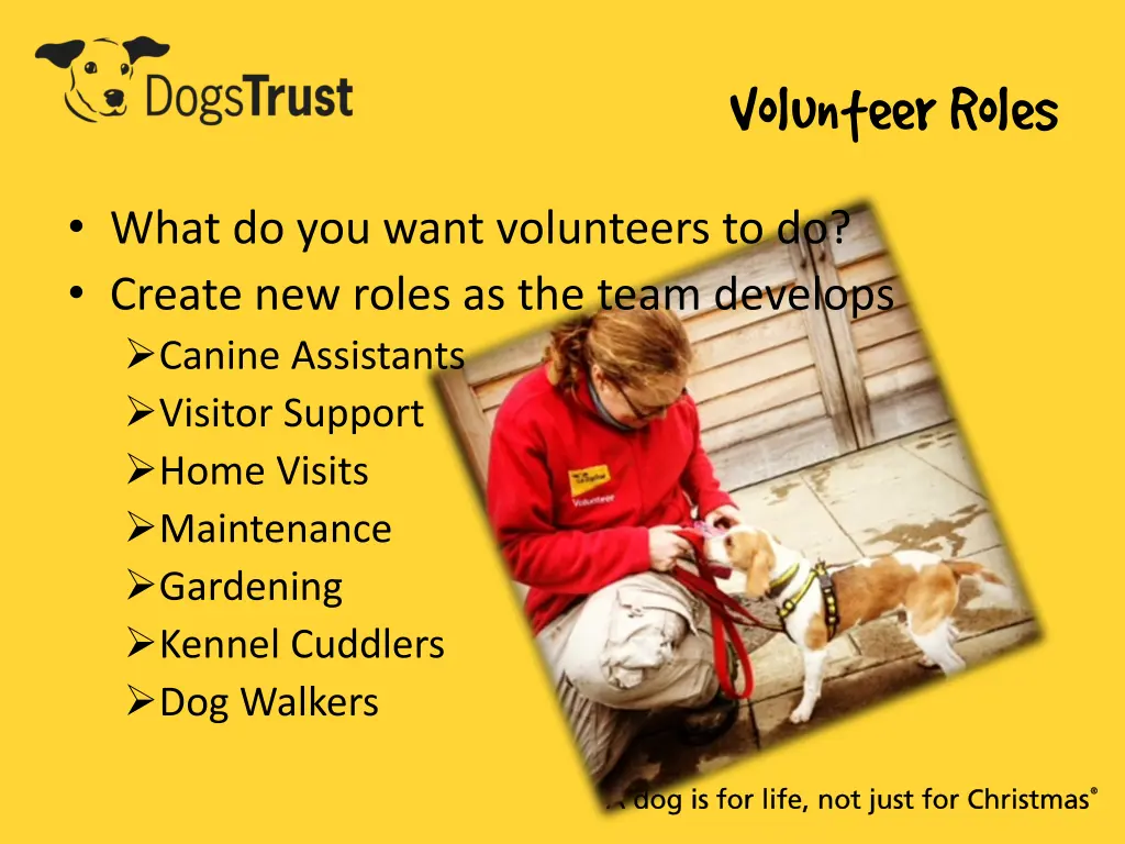 volunteer roles