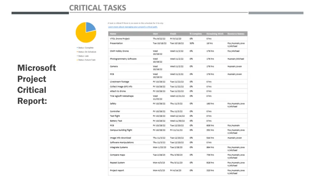 microsoft project critical report