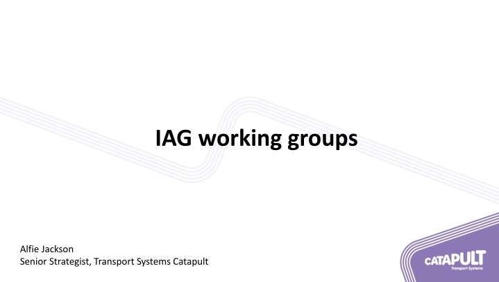 iag working groups