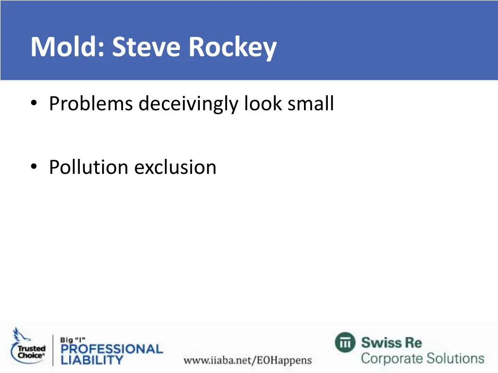 mold steve rockey