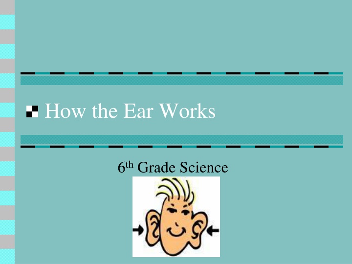 how the ear works