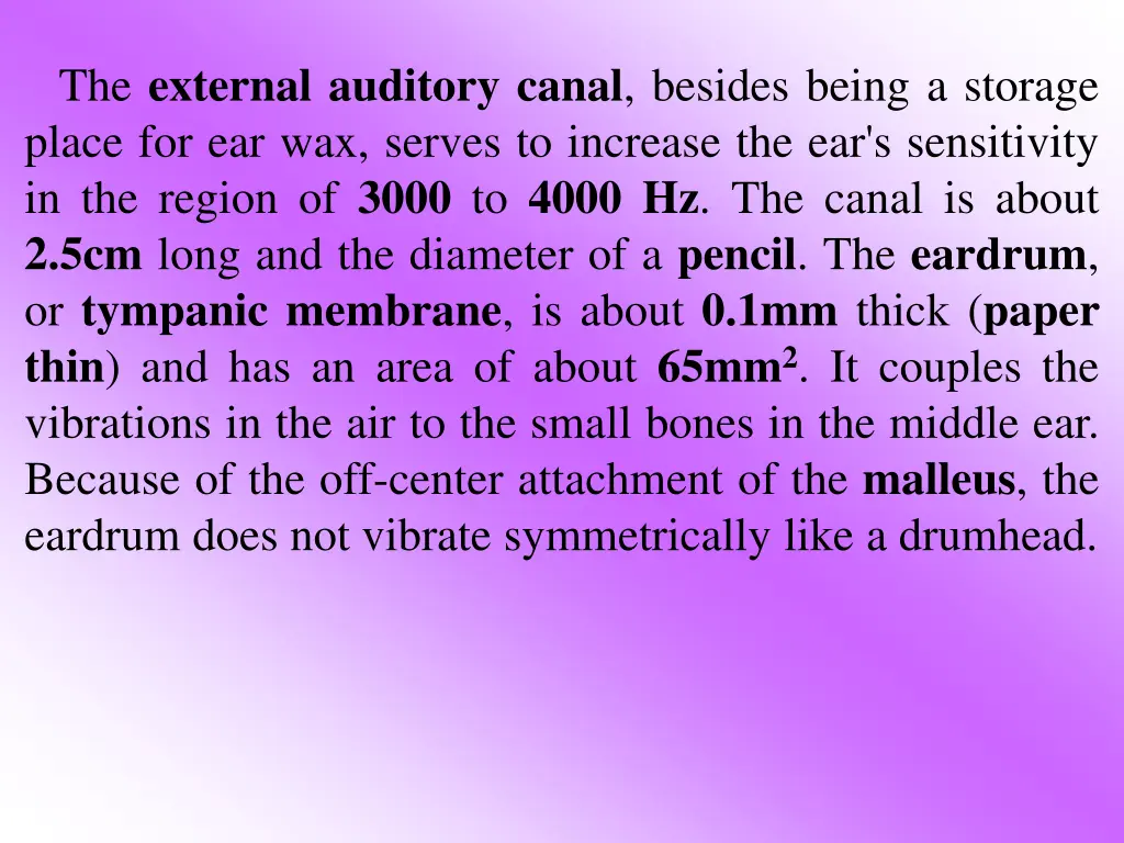 the external auditory canal besides being