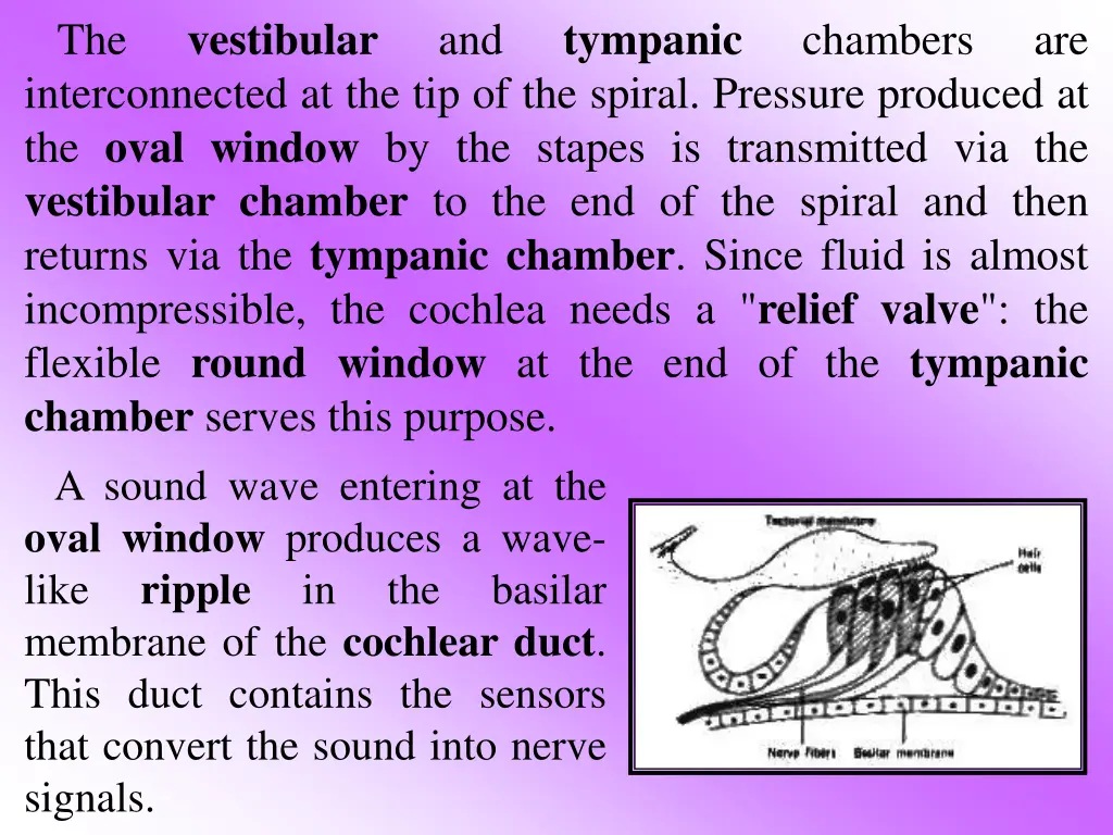 vestibular