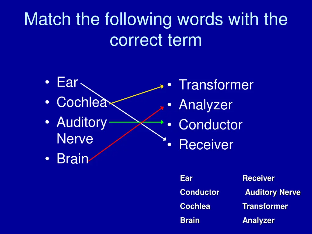 match the following words with the correct term