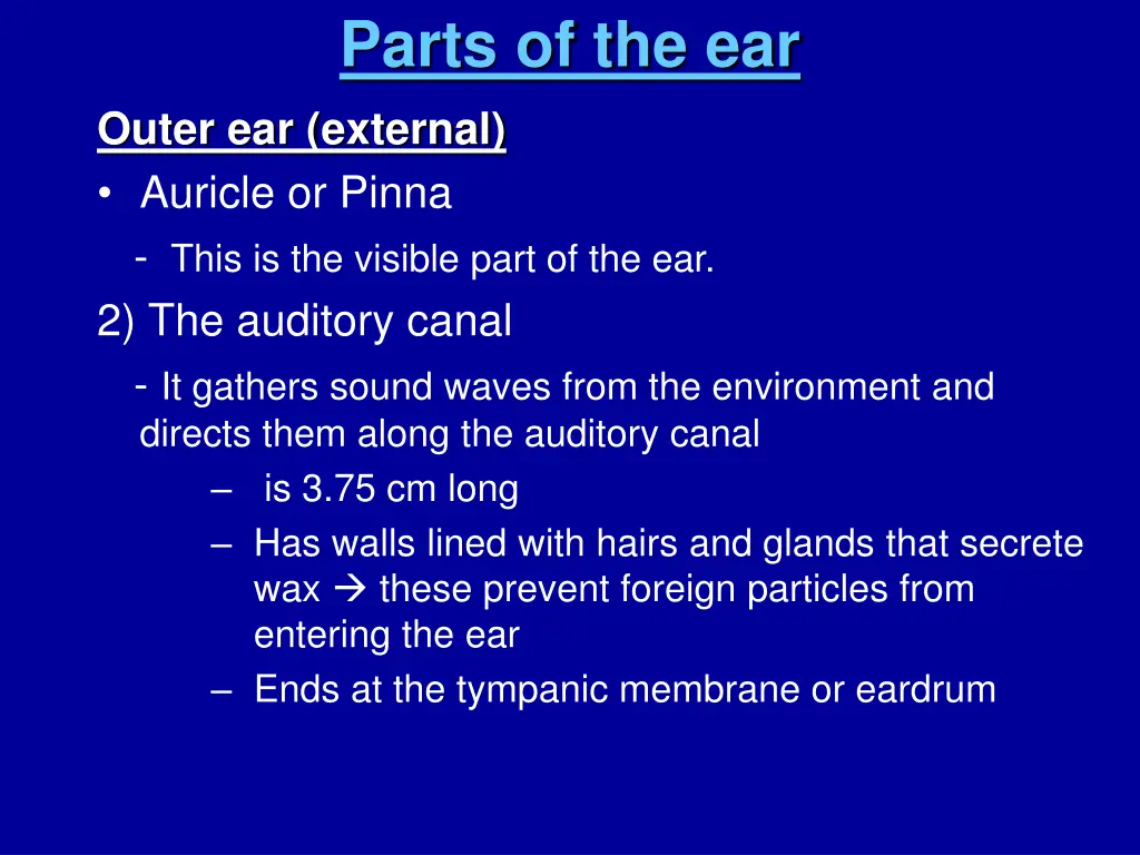 parts of the ear