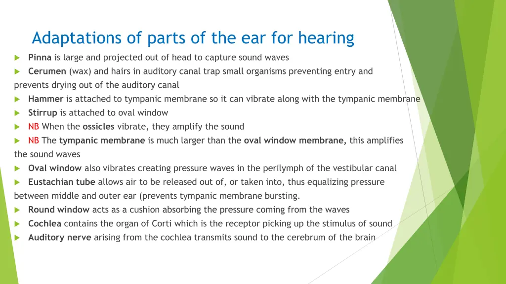 adaptations of parts of the ear for hearing