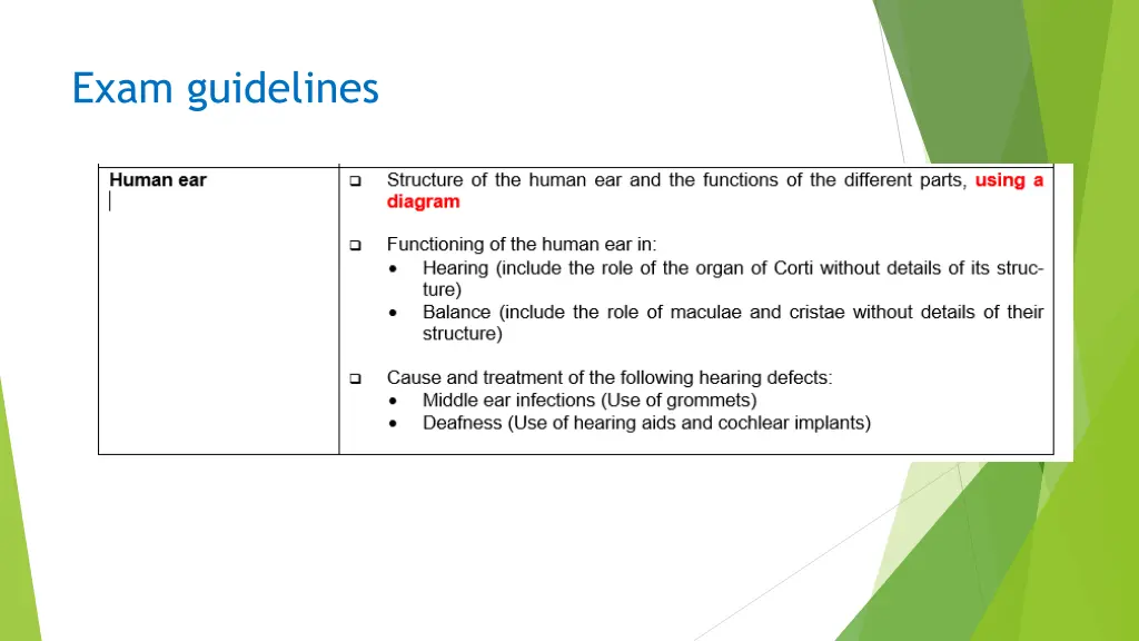 exam guidelines