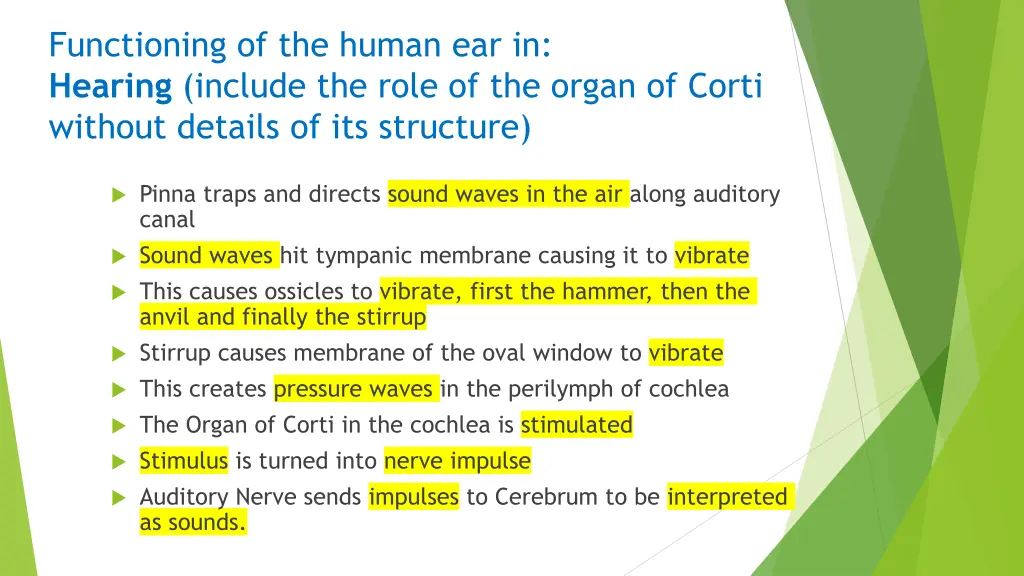 functioning of the human ear in hearing include