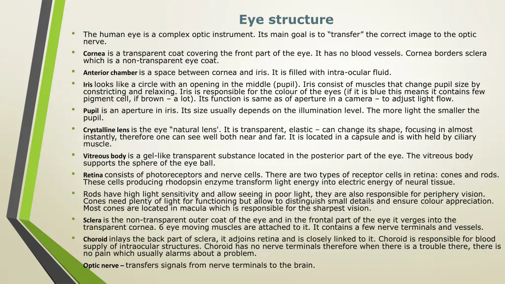 eye structure