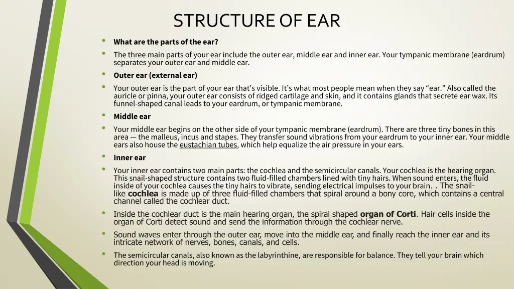 structure of ear 1